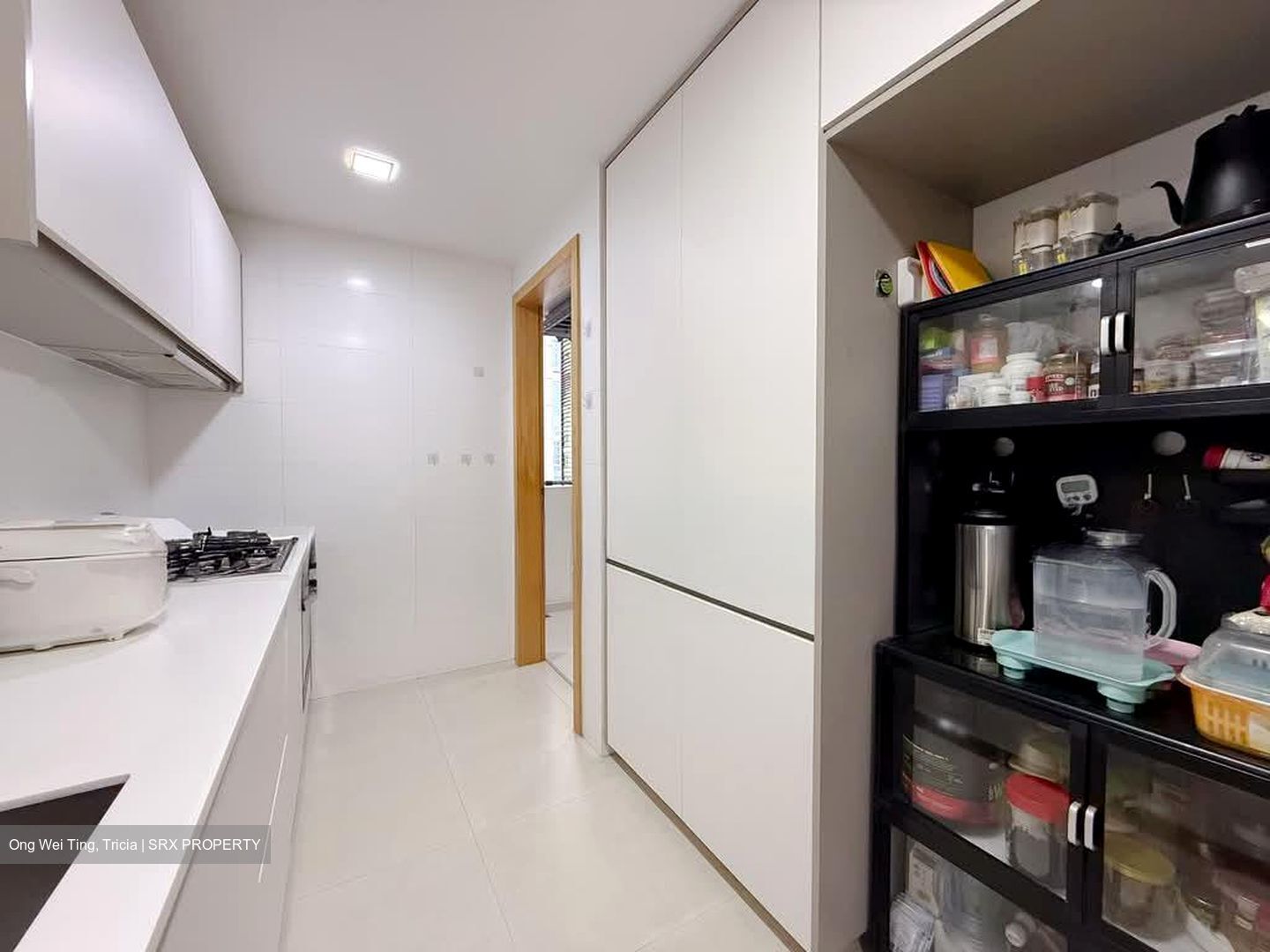 H2O Residences (D28), Condominium #554147821